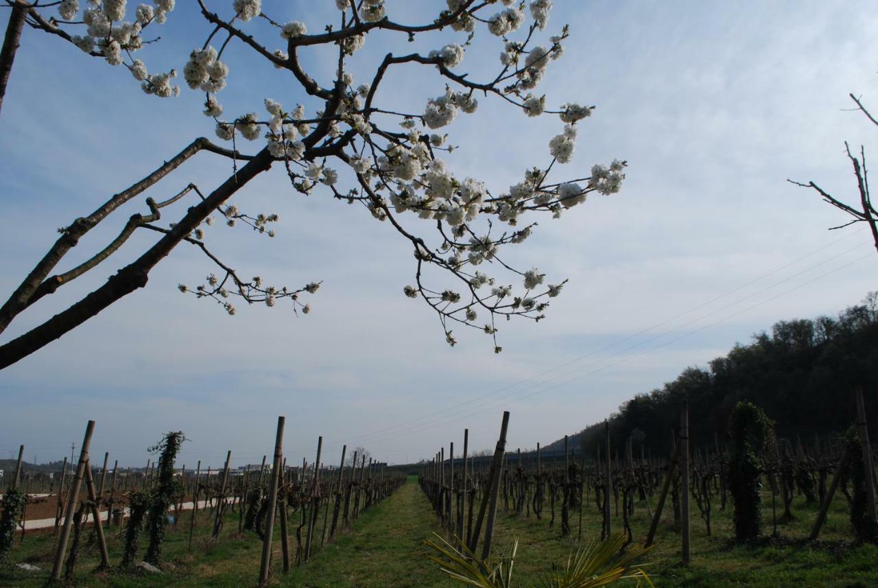 Agriturismo Il Rovere Lonato del Garda Exterior foto